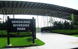 Blk 267A Compassvale Link (Sengkang), HDB 5 Rooms #117839692